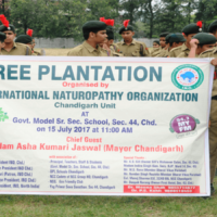 Tree-Plantation-2